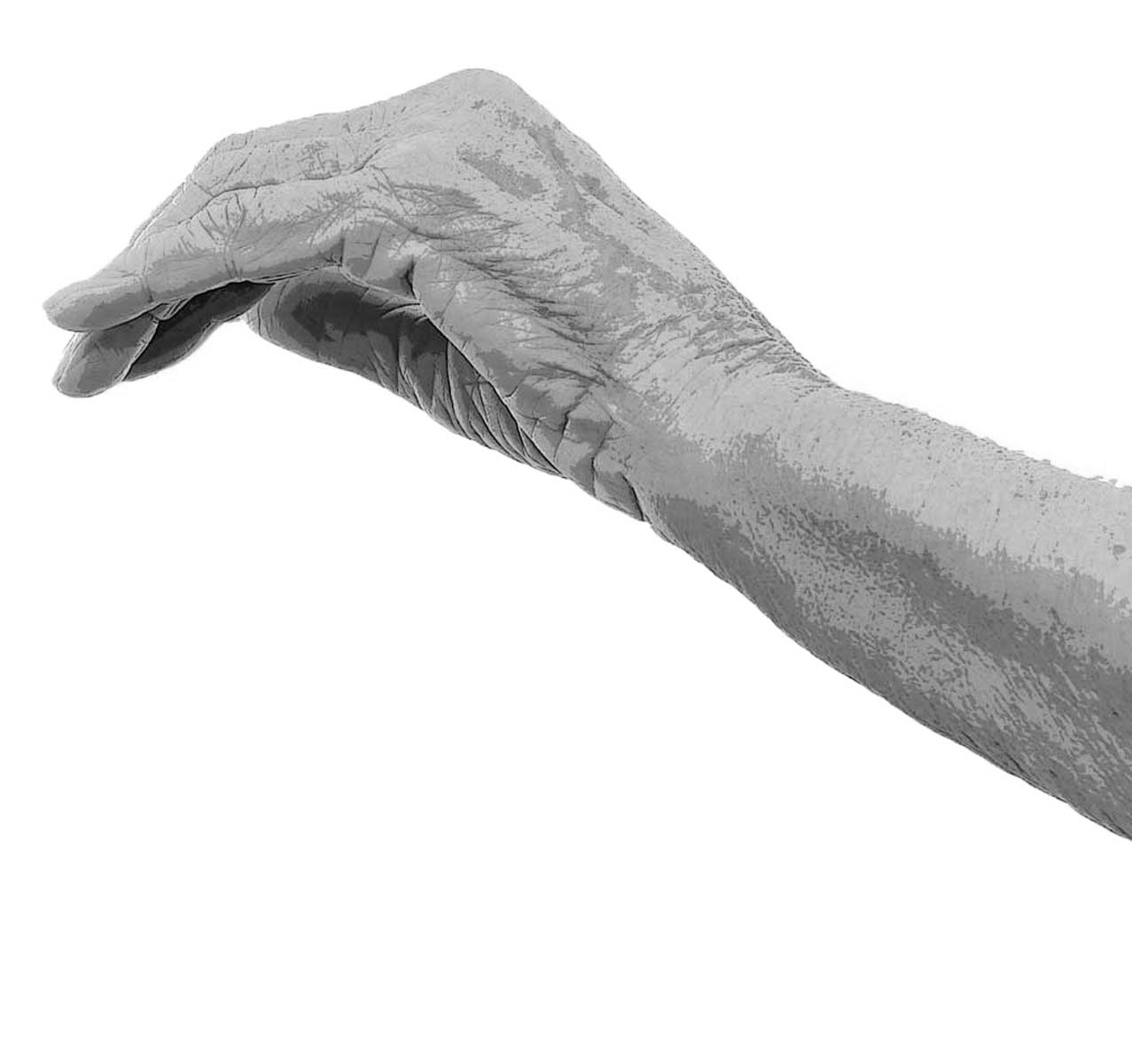 Buscador de personas mayores